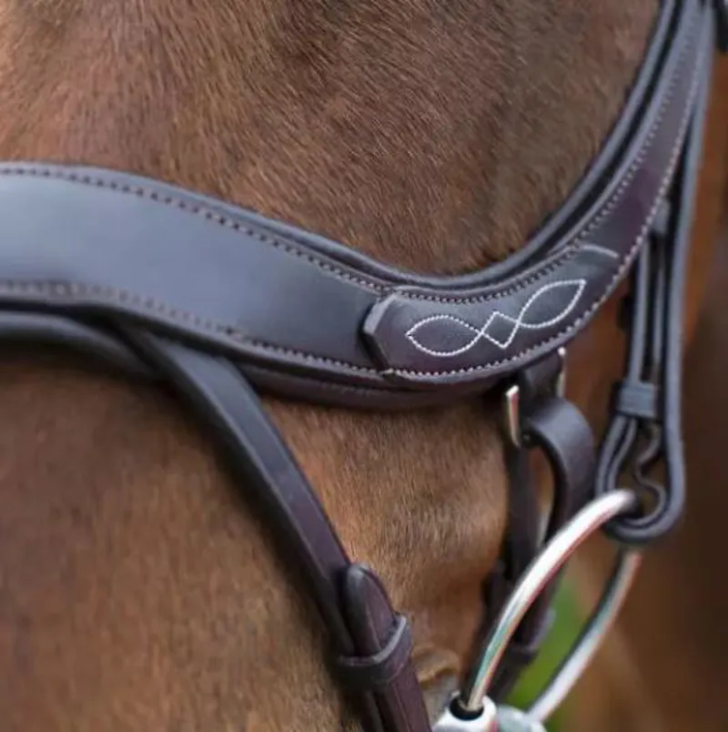 Eco Rider Freedom Comfort Bridle-2
